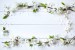 vesna-wood-blossom-frame-spring-flowers-iablonia-tsvety-fon